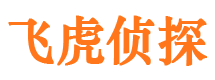 文水市侦探调查公司